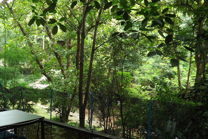 テラス席からの眺め